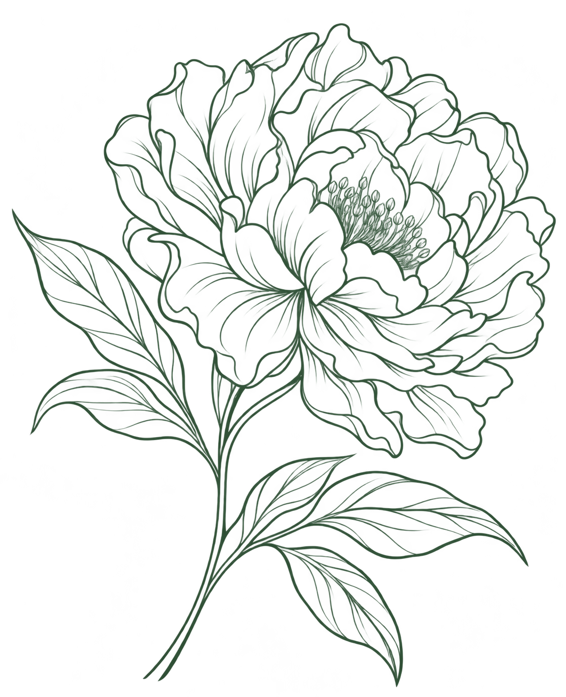 Peony Line Art for A Reason 4 Being